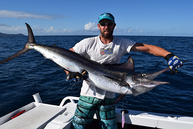 ANGLER: Matt Pearson SPECIES: Black Marlin WEIGHT: Est. 28kg LURE: 6.5" JB Lures Micro Dingo.